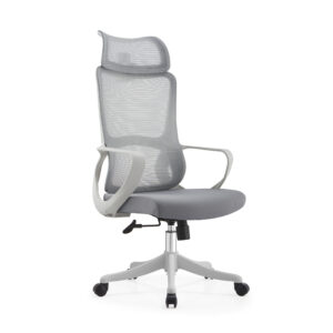 BL016A SpineCare Full Rotation Lift Chair