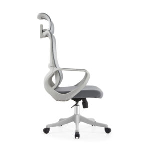 BL016A SpineCare Full Rotation Lift Chair