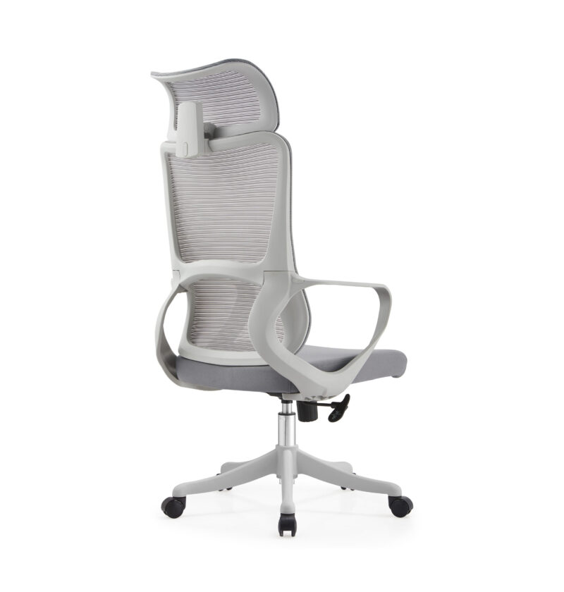 BL016A SpineCare Full Rotation Lift Chair