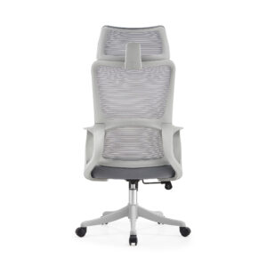 BL016A SpineCare Full Rotation Lift Chair