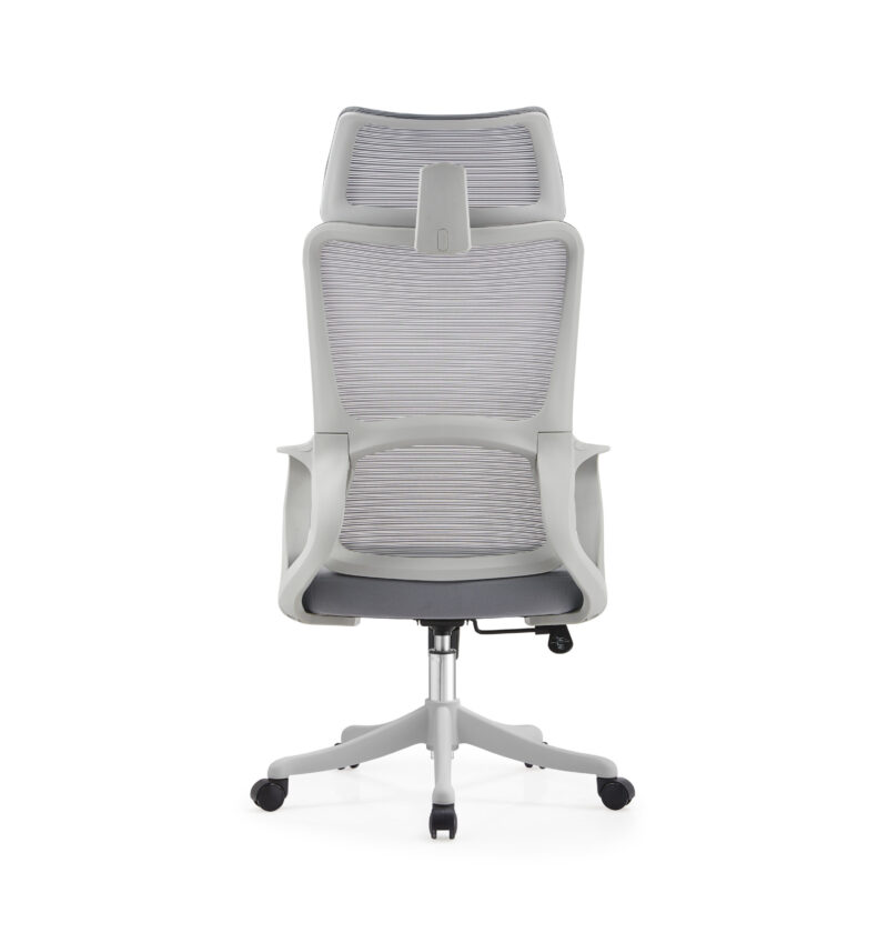 BL016A SpineCare Full Rotation Lift Chair
