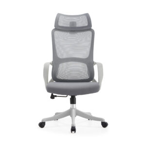 BL016A SpineCare Full Rotation Lift Chair