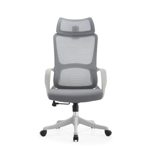 BL016A SpineCare Full Rotation Lift Chair