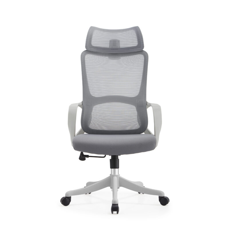 BL016A SpineCare Full Rotation Lift Chair