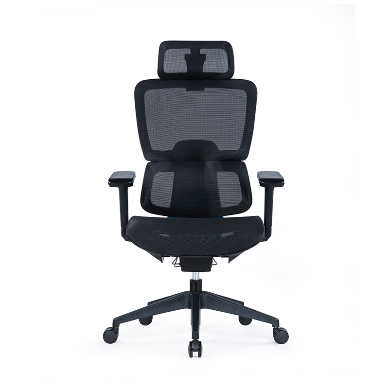 BL-853A Modern Adjustable Chair with Back Support for Enhanced Comfort