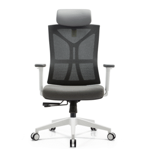 BL-836AW  Modern Adjustable Chair with Back Support for Enhanced Comfort