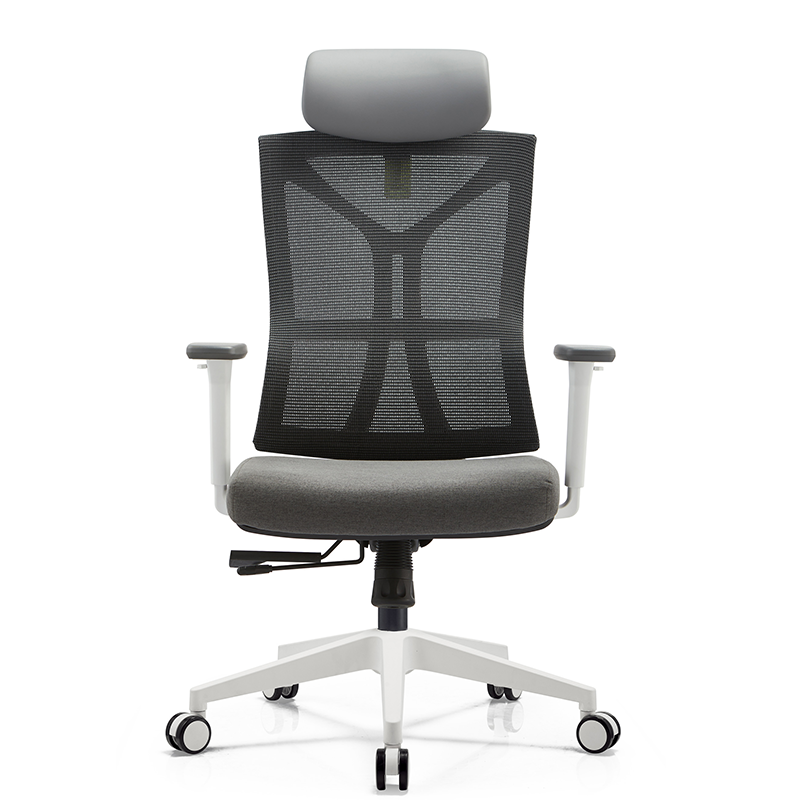 BL-836AW  Modern Adjustable Chair with Back Support for Enhanced Comfort