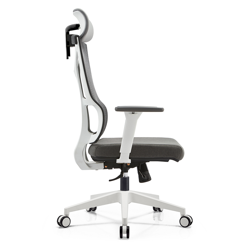 BL-836AW  Modern Adjustable Chair with Back Support for Enhanced Comfort