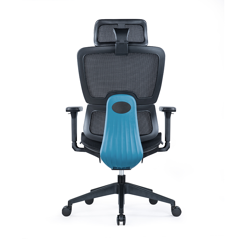 BL-853A Modern Adjustable Chair with Back Support for Enhanced Comfort
