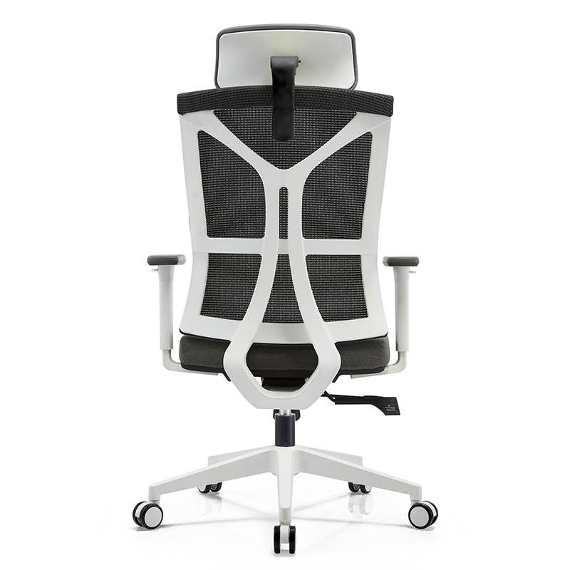BL-836AW  Modern Adjustable Chair with Back Support for Enhanced Comfort