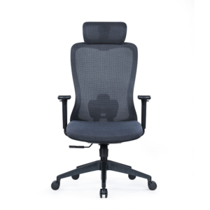 BL-850A Stylish Adjustable Chair with Lumbar Support for All-Day Comfort
