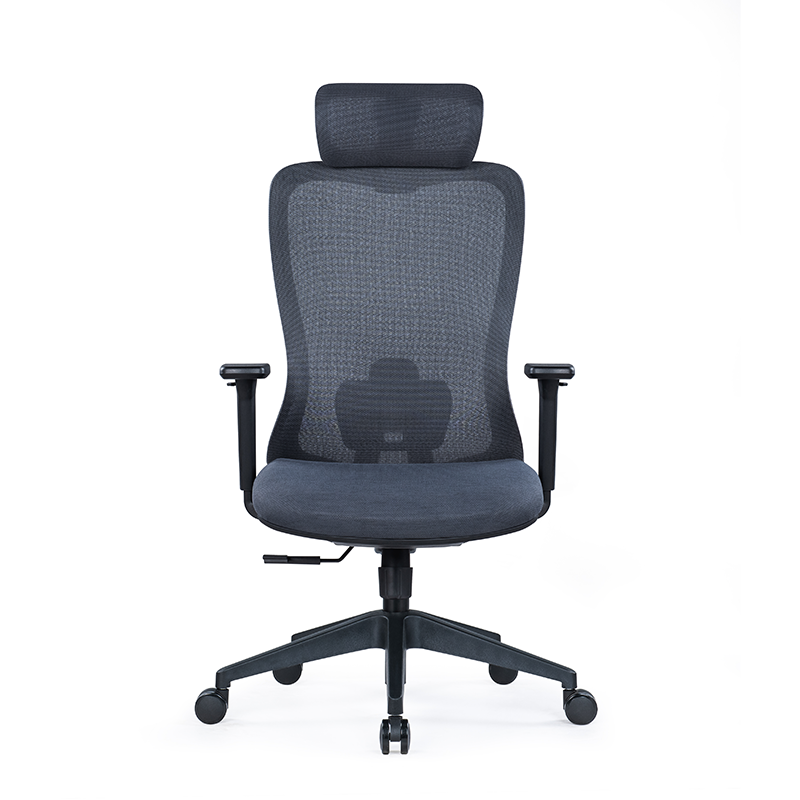 BL-850A Stylish Adjustable Chair with Lumbar Support for All-Day Comfort
