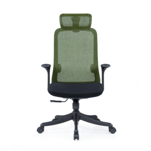 BL-851A Ergonomic Adjustable Chair with Lumbar Support for Ultimate Comfort