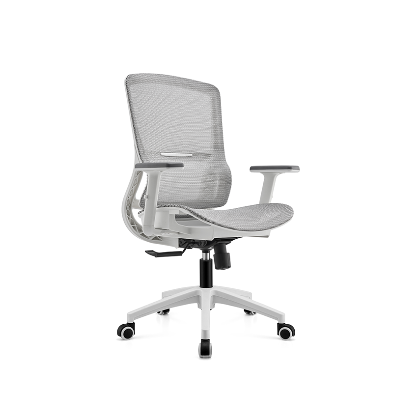 BL-834BG-1 Stylish Adjustable Chair with Lumbar Support for All-Day Comfort