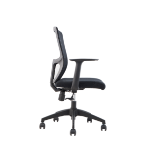 BL-820B Modern Adjustable Chair with Back Support for Enhanced Comfort