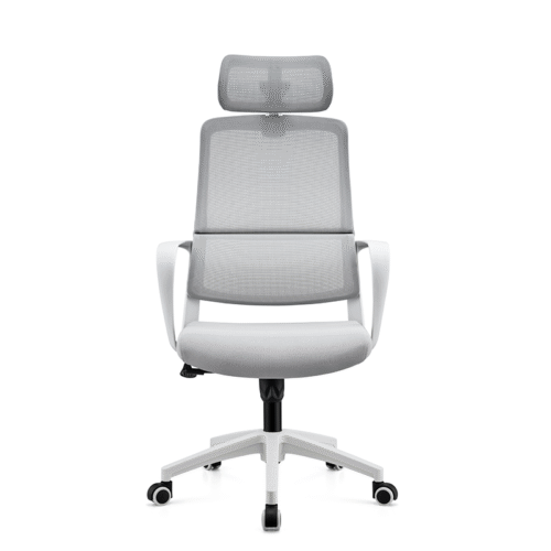 BL-861AG  Stylish Mesh Office Chair for All-Day Comfort and Breathability