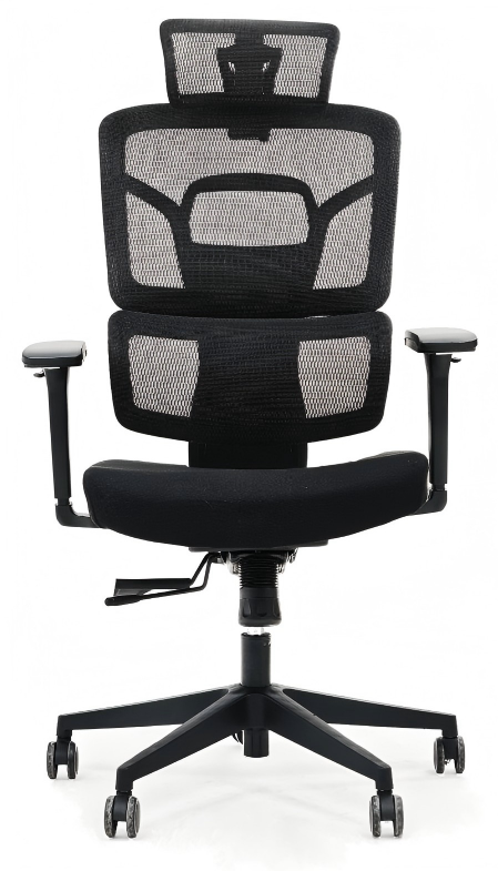 Modern High-Back Executive Chair for Luxury Home Office Decor