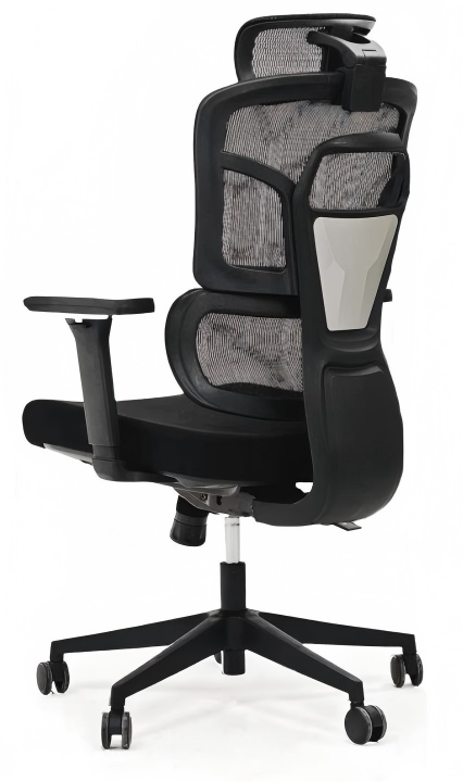 Modern High-Back Executive Chair for Luxury Home Office Decor