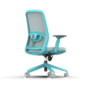 810B-2 Cotton Seat Ergonomic Office Chair with Adjustable Lumbar Support and 3D Armrests