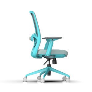 810B-2 Cotton Seat Ergonomic Office Chair with Adjustable Lumbar Support and 3D Armrests