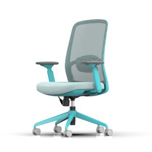 810B-2 Cotton Seat Ergonomic Office Chair with Adjustable Lumbar Support and 3D Armrests