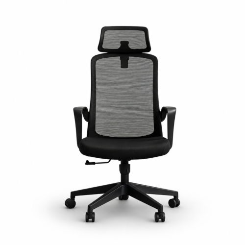 正面 809A-2 Cotton Seat Ergonomic Office Chair with Adjustable Lumbar Support and 2D Headrest