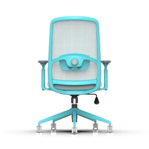 810B-2 Cotton Seat Ergonomic Office Chair with Adjustable Lumbar Support and 3D Armrests
