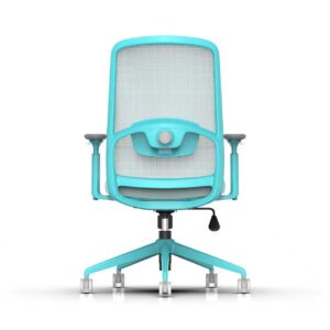 810B-2 Cotton Seat Ergonomic Office Chair with Adjustable Lumbar Support and 3D Armrests