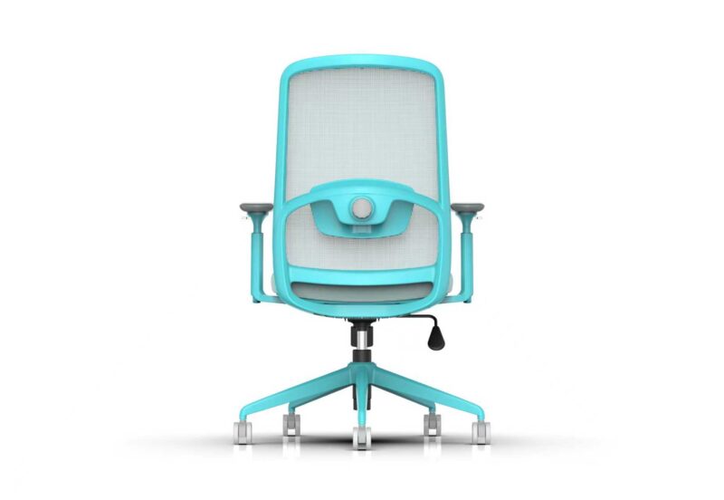 810B-2 Cotton Seat Ergonomic Office Chair with Adjustable Lumbar Support and 3D Armrests