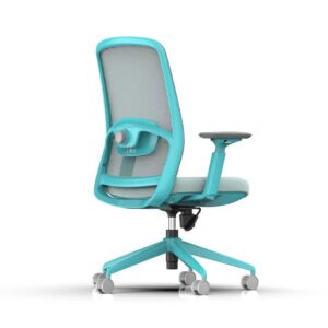 810B-2 Cotton Seat Ergonomic Office Chair with Adjustable Lumbar Support and 3D Armrests
